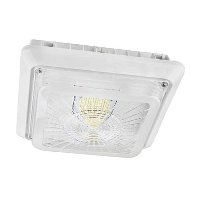 台所120V 40W 5000K IP65 LEDおおいの照明設備